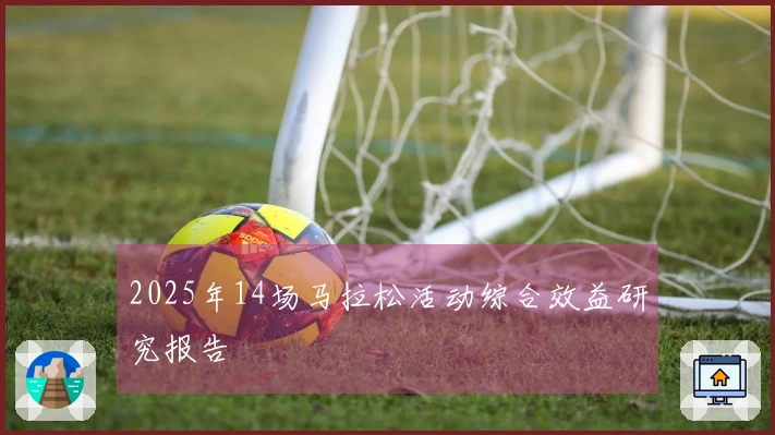 2025年14场马拉松活动综合效益研究报告