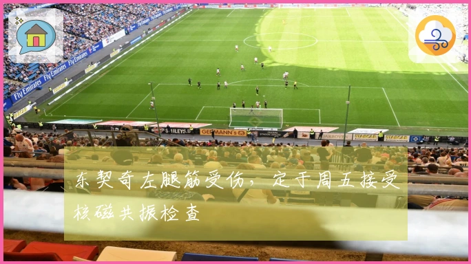 东契奇左腿筋受伤，定于周五接受核磁共振检查