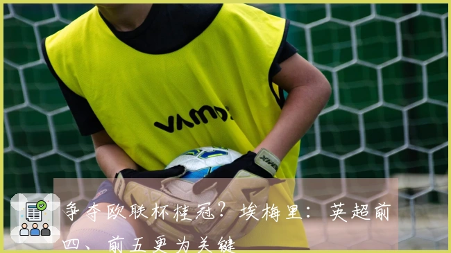 争夺欧联杯桂冠？埃梅里：英超前四、前五更为关键