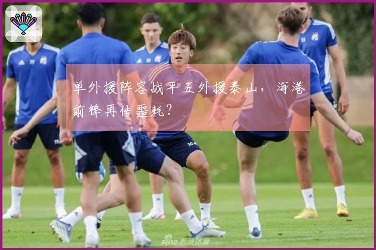 单外援阵容战平五外援泰山，海港前锋再传噩耗？