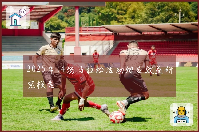 2025年14场马拉松活动综合效益研究报告